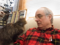 Hermes the cat JS 001